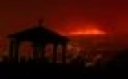 Tenerife wildfire that's forced thousands from homes started deliberately - officials