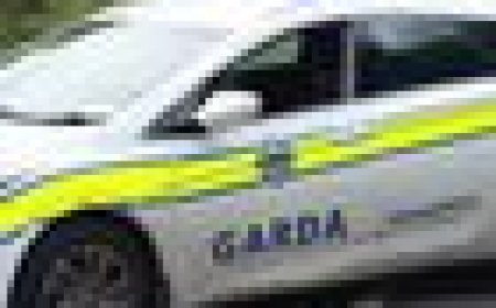 'Grandparents and three-year-old grandson' killed in car crash in Ireland