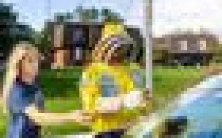 Bee-ware! Drivers warned after five million bees fall off truck